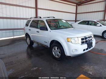  Salvage Ford Escape