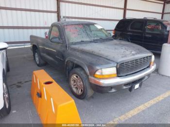  Salvage Dodge Dakota