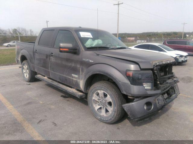  Salvage Ford F-150