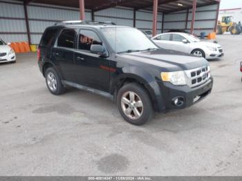  Salvage Ford Escape