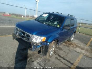  Salvage Ford Escape