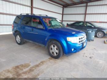  Salvage Ford Escape