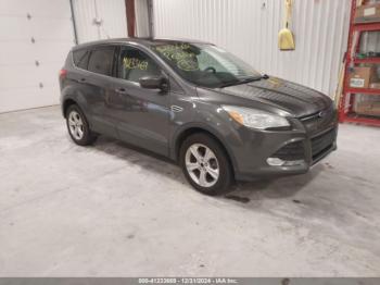  Salvage Ford Escape