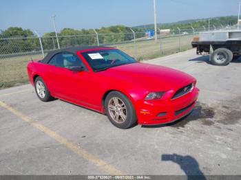  Salvage Ford Mustang