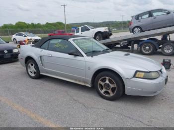  Salvage Ford Mustang