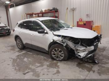  Salvage Ford Escape
