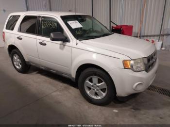  Salvage Ford Escape