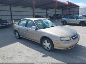 Salvage Chevrolet Malibu