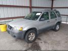 Ford Escape Image 2