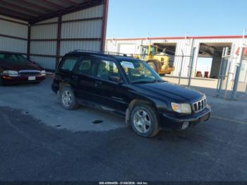  Salvage Subaru Forester